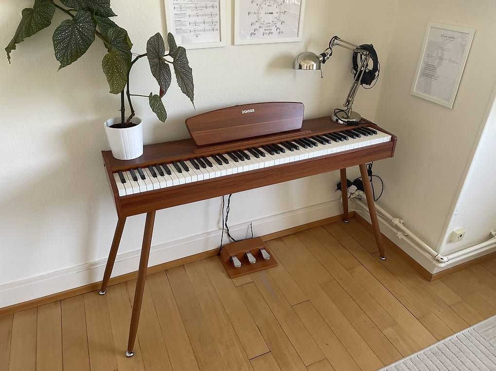 Strumenti musicali: E-Piano Donner DDP-80 Wood – Usato da Horgen venduto da goldfinger1