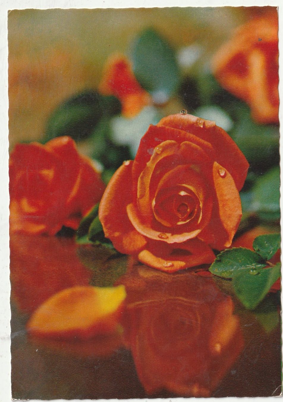 Cartes postales: Blumenkarte – D'occasion à Lumbrein par made02