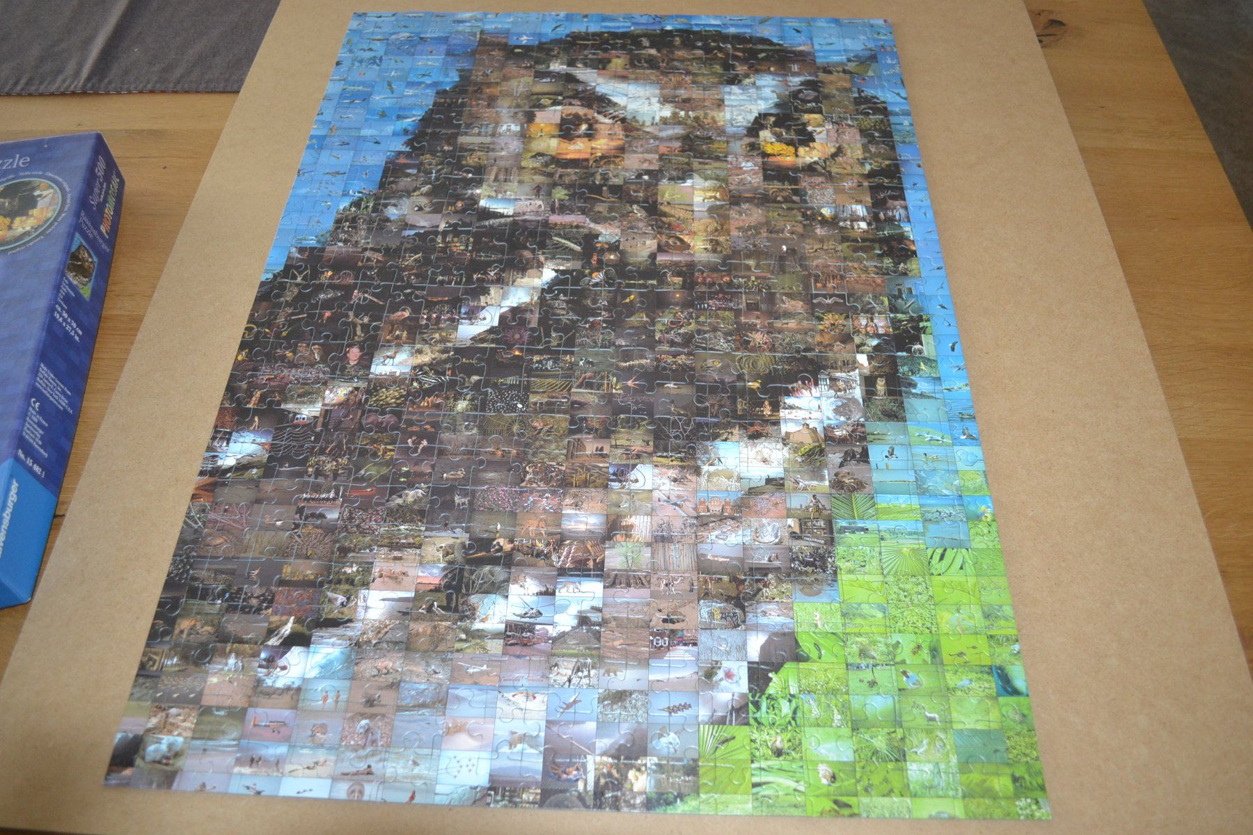 Ravensburger Puzzles: Puzzle 500 Teile - Eule – Gebraucht aus Kölliken von Knorrli58 3