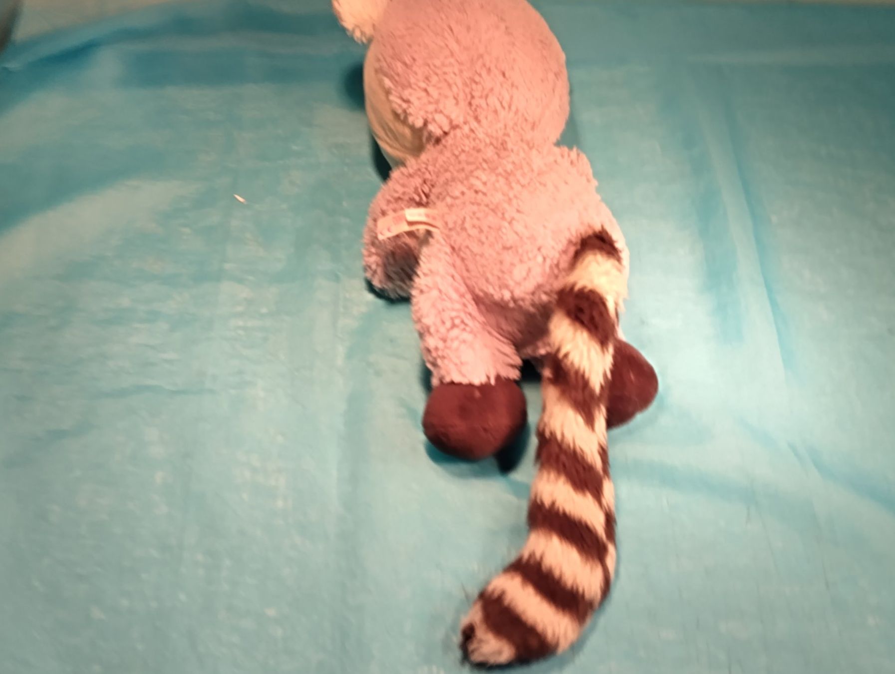 Nici Giocattoli: NICI Lemur, L: 35cm – Usato da Bellach venduto da JingleCherry 2