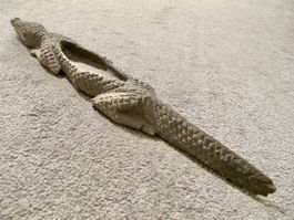 Holz Krokodil Alligator Skulptur geschnitzt Figur Schale