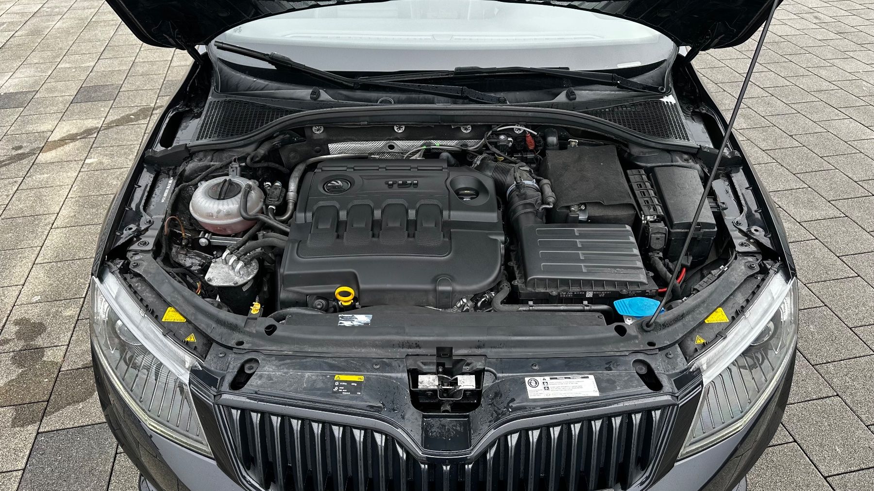 Skoda Automobili: Skoda Octavia RS TDI 4x4 ab MFK – Usato da Rebstein venduto da EvdHo 4