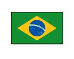 Fahne Brasilien 90 x 150 cm Originalverpackt 