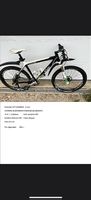 VTT vélo