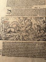 1615 von Wilden und seltsamen Thieren Schweizergebirg Alpen