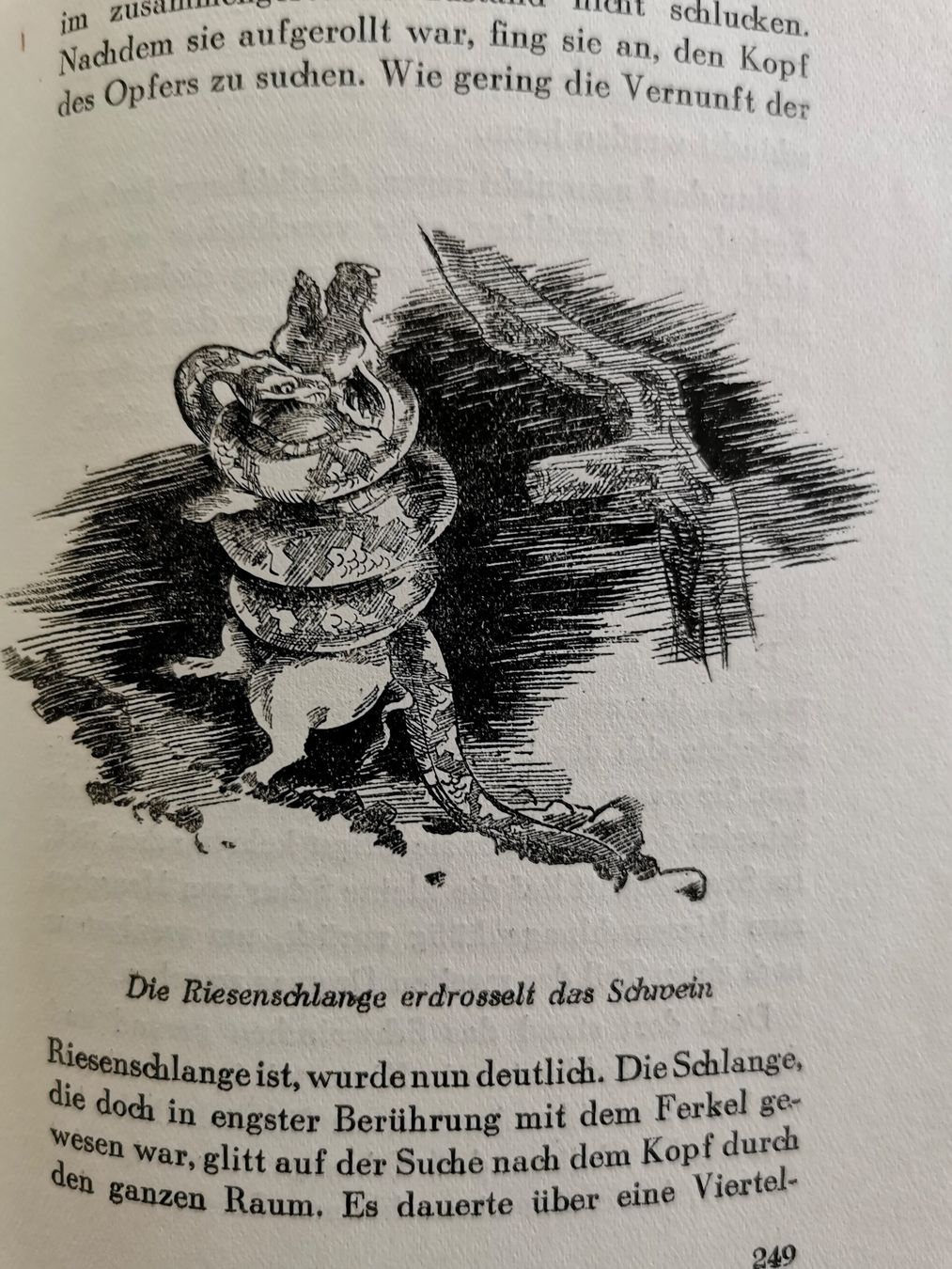 Bücher: Der Zoo erzählt ... – Gebraucht aus Richterswil von Milan777 6