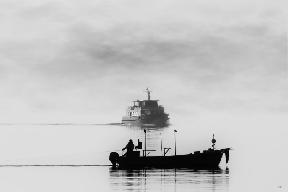 Posters & Illustrations: Poster photo – Neuf avec emballage d'origine à Nyon par pat_cvs8