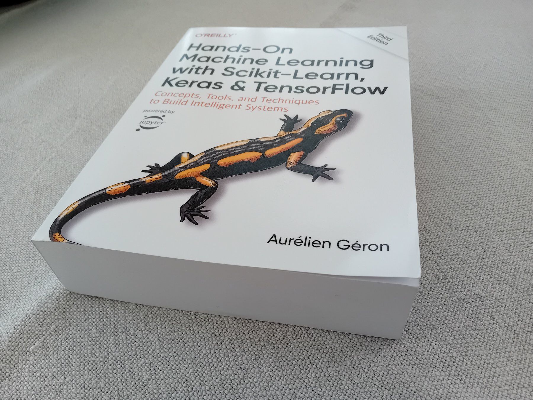 Bücher: Hands-On Machine Learning - Scikit-Learn, Keras & TensorFlow – Gebraucht aus Fribourg von Werkt 2