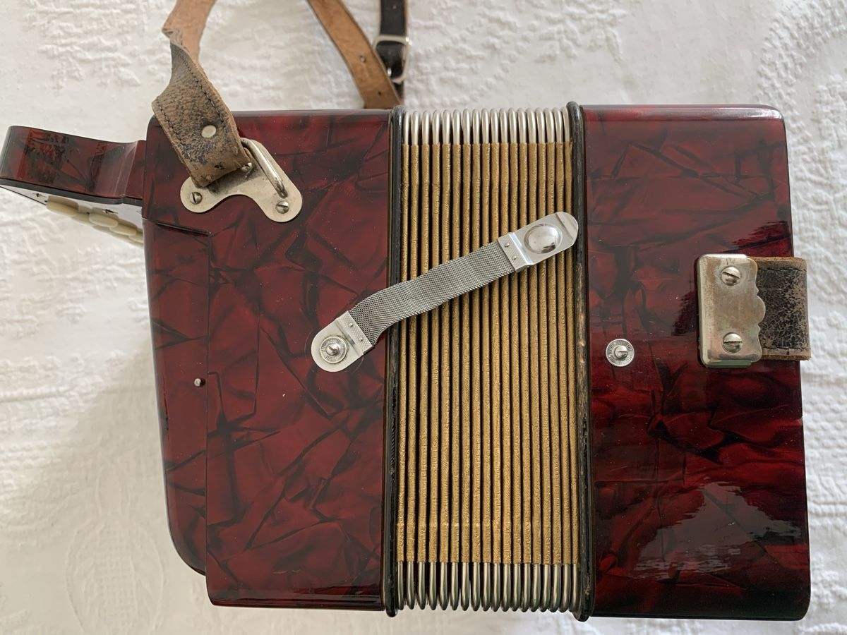 Hohner Strumenti musicali: Diatonische Handorgel/Concertina Sol – Usato da Zürich venduto da Olimpied 4