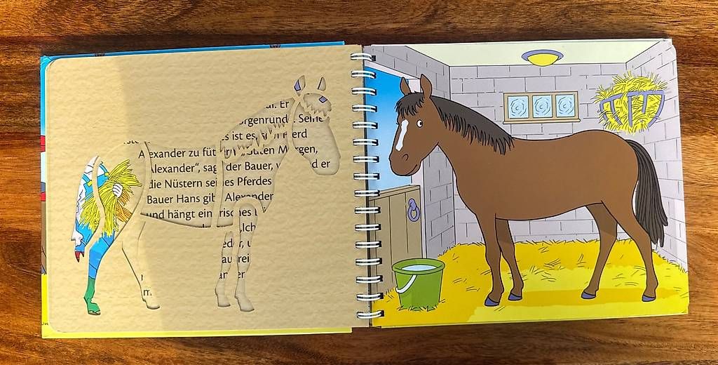 Libri: Bauernhof Schablonenbuch – Usato da Solothurn venduto da mel_ywc7 2