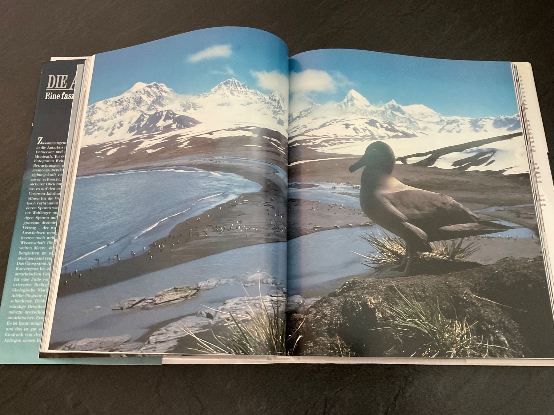 Libri: Die Antarktis lebt - Bildband Reise ins ewige Eis – Usato da Wetzikon ZH venduto da Gerbera5 4