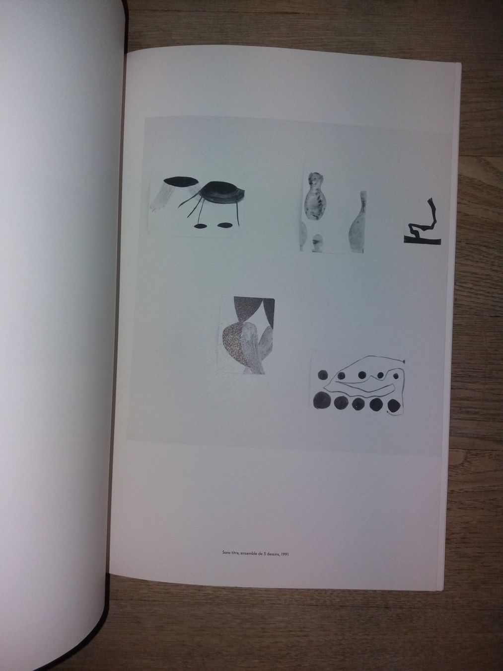 Libri: SILVIA Bächli Kunstklassik selten – Usato da Welschenrohr venduto da Regool 3