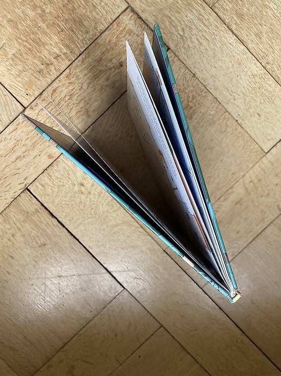 Libri: Buch Drache Feuerschweif – Usato da Bern venduto da tan_2rrh 3