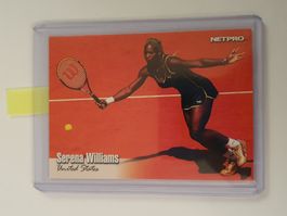 Serena Williams 2003 Netpro Rookie Card