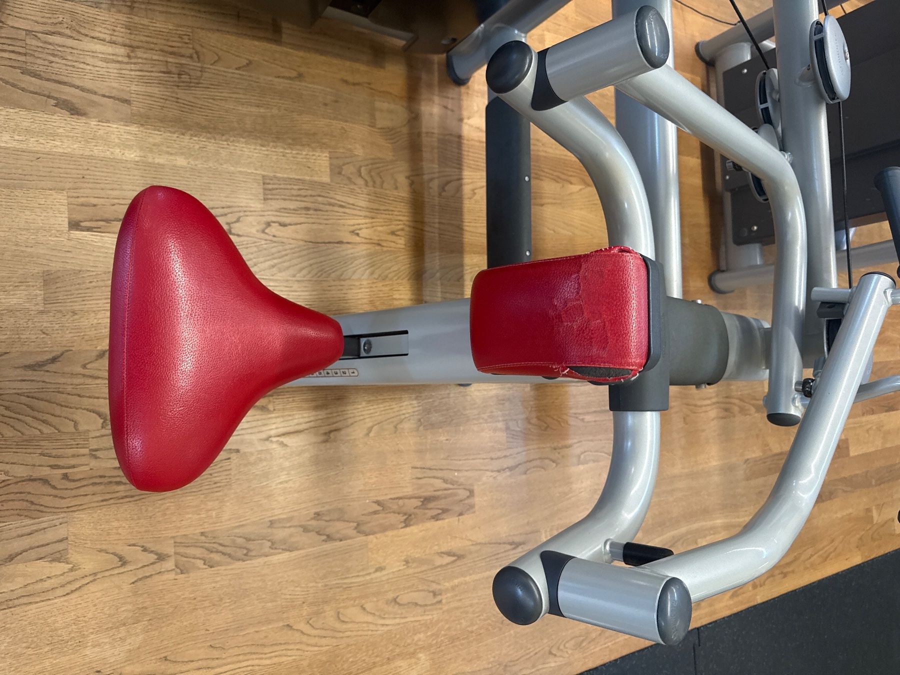 Technogym Vélos d'appartement: Technogym Upper Back - Oberer Rückentrainer - 300VB – D'occasion à Mettmenstetten par Nils_Gut_GZG 2