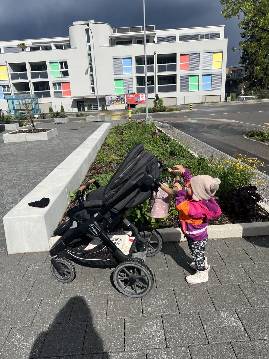 Emmaljunga Kinderwagen: Hochwertiger Kinderwagen von Emmaljunga – Gebraucht aus Oberglatt ZH von lar_2266 1
