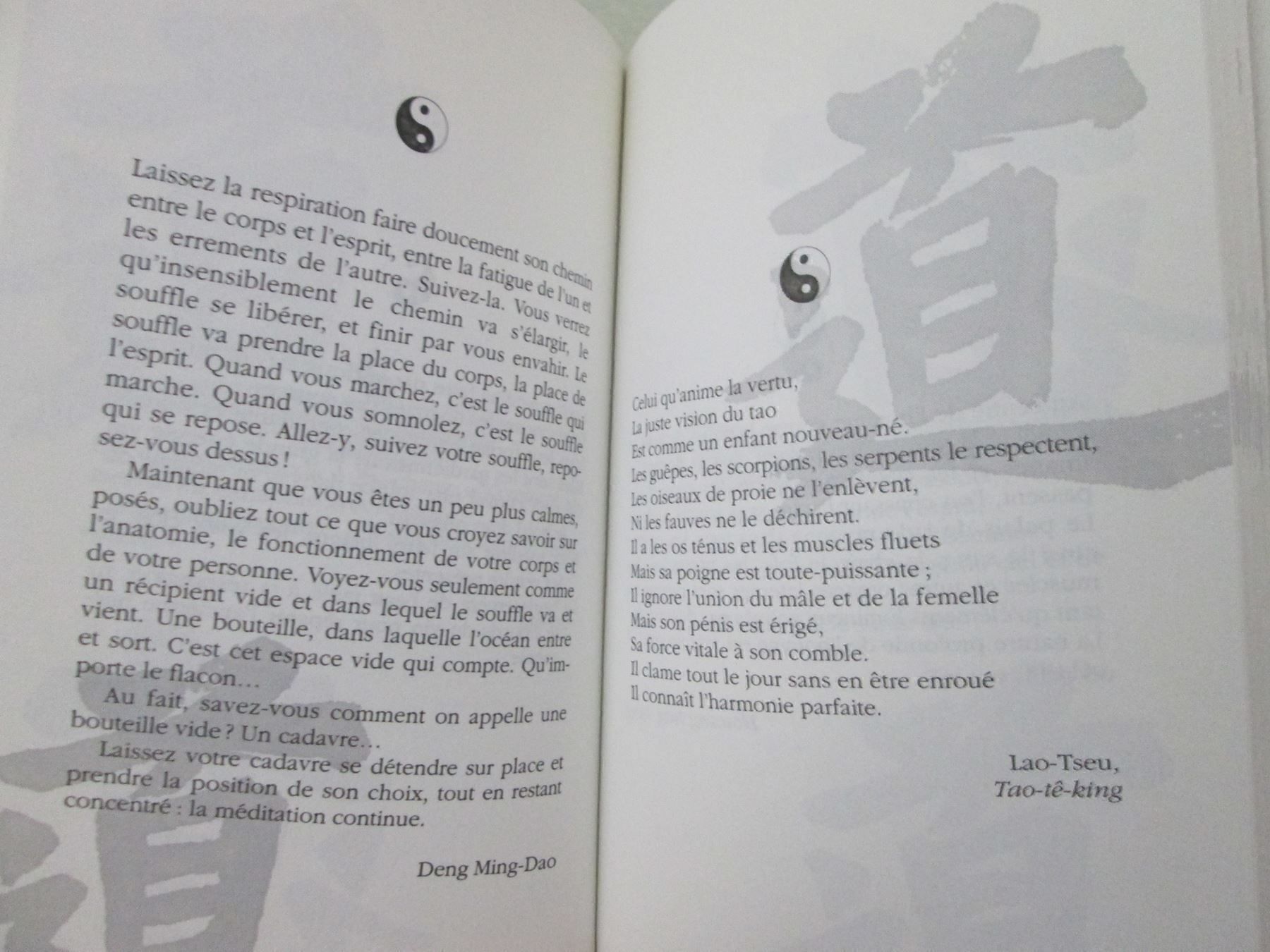 Bücher: Méditations du Tao – Gebraucht aus Neuchâtel von Dualseele 4