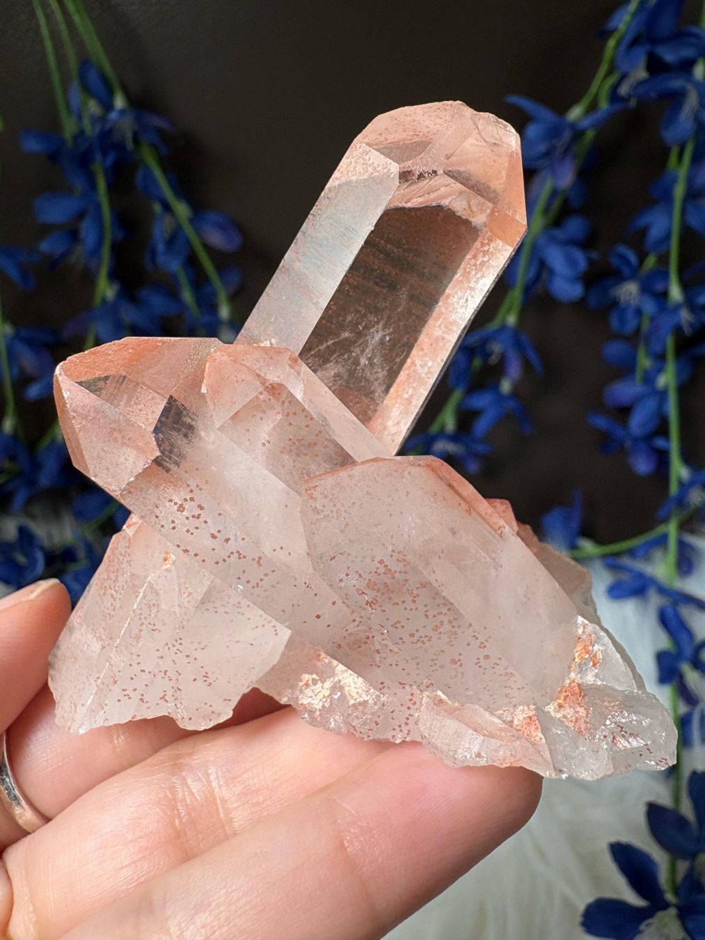 Minerali & Pietre curative: Rosa Quarz-Cluster – Nuovo (secondo la descrizione) da Neuheim venduto da m.hald 3
