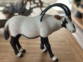 Safari Ltd. Arabischer Oryx Sammelfigur
