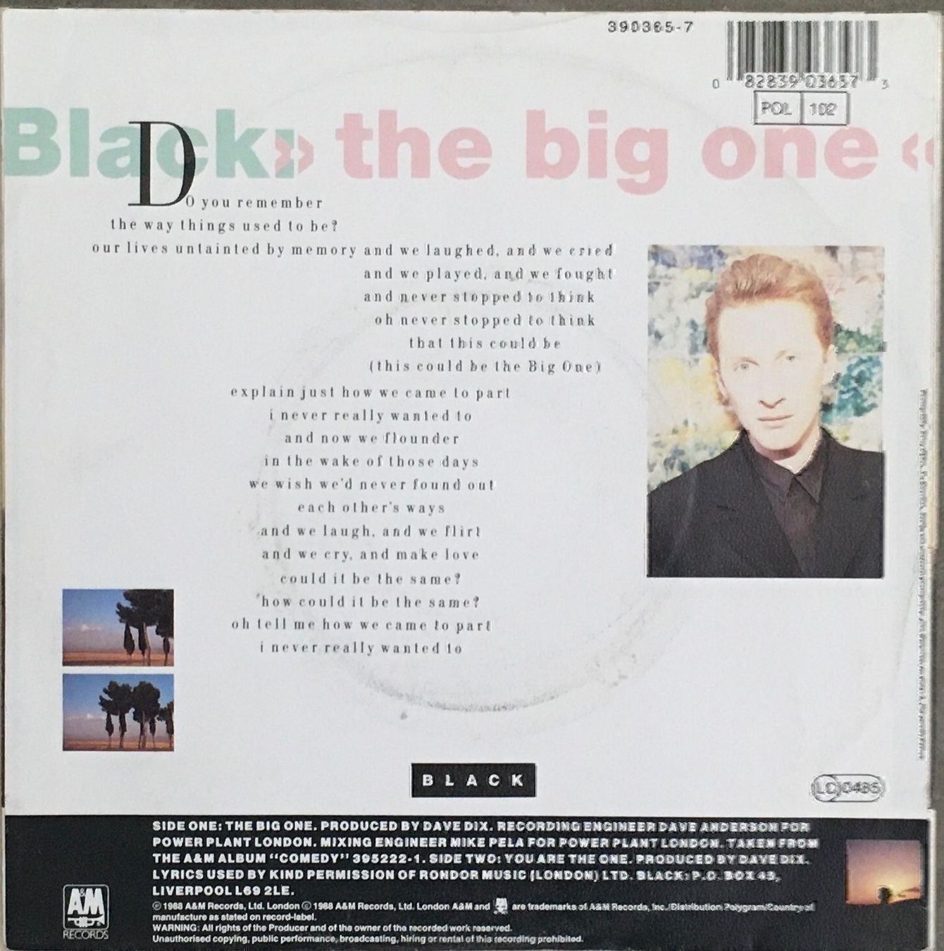 Schallplatten: BLACK - THE BIG ONE – Gebraucht aus Bussigny von vinyl-pas-cher 1