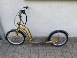 Goldener Leopard Trottinett-Roller (fast neu!)