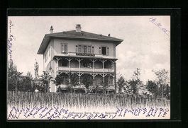 AK Begnins, Pension Bella Vista, 1905