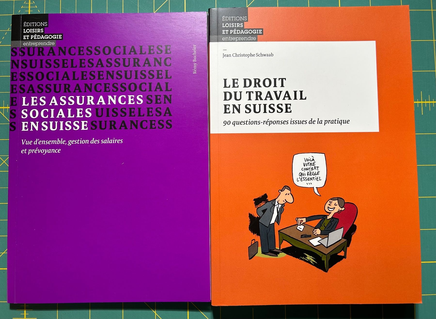 Libri: Lot de 2 livres explicatifs suisses – Nuovo (secondo la descrizione) da Bouveret venduto da sev_qj7l