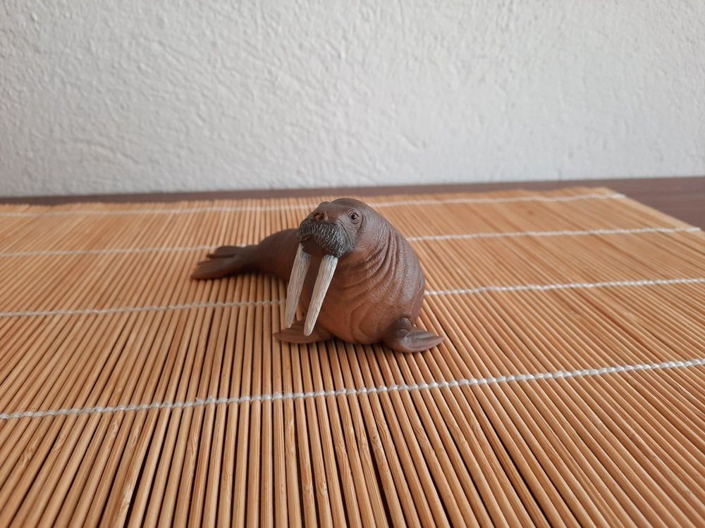 schleich-walross-walrus-kaufen-auf-ricardo
