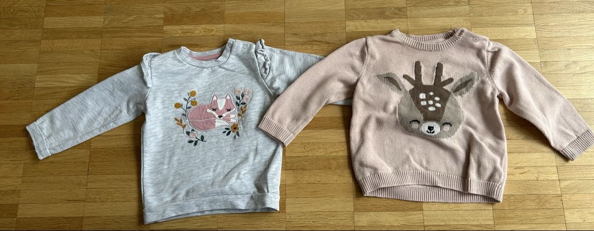 H&M Pullover & Sweatshirts: Zwei Kinderpullover mit Tiermotiven Grösse 80 – Gebraucht aus Bern von ago_n6ww