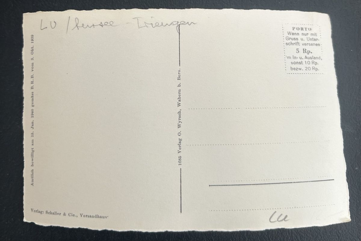 Cartoline postali: Flugaufnahme Geuensee  – Usato da Horw venduto da Tellbub 1