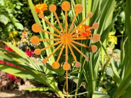 Pusteblume Gartenstecker aus Eisen Rost 60cm D: 20cm
