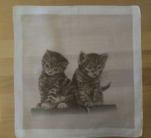 Taschentuch Katzen