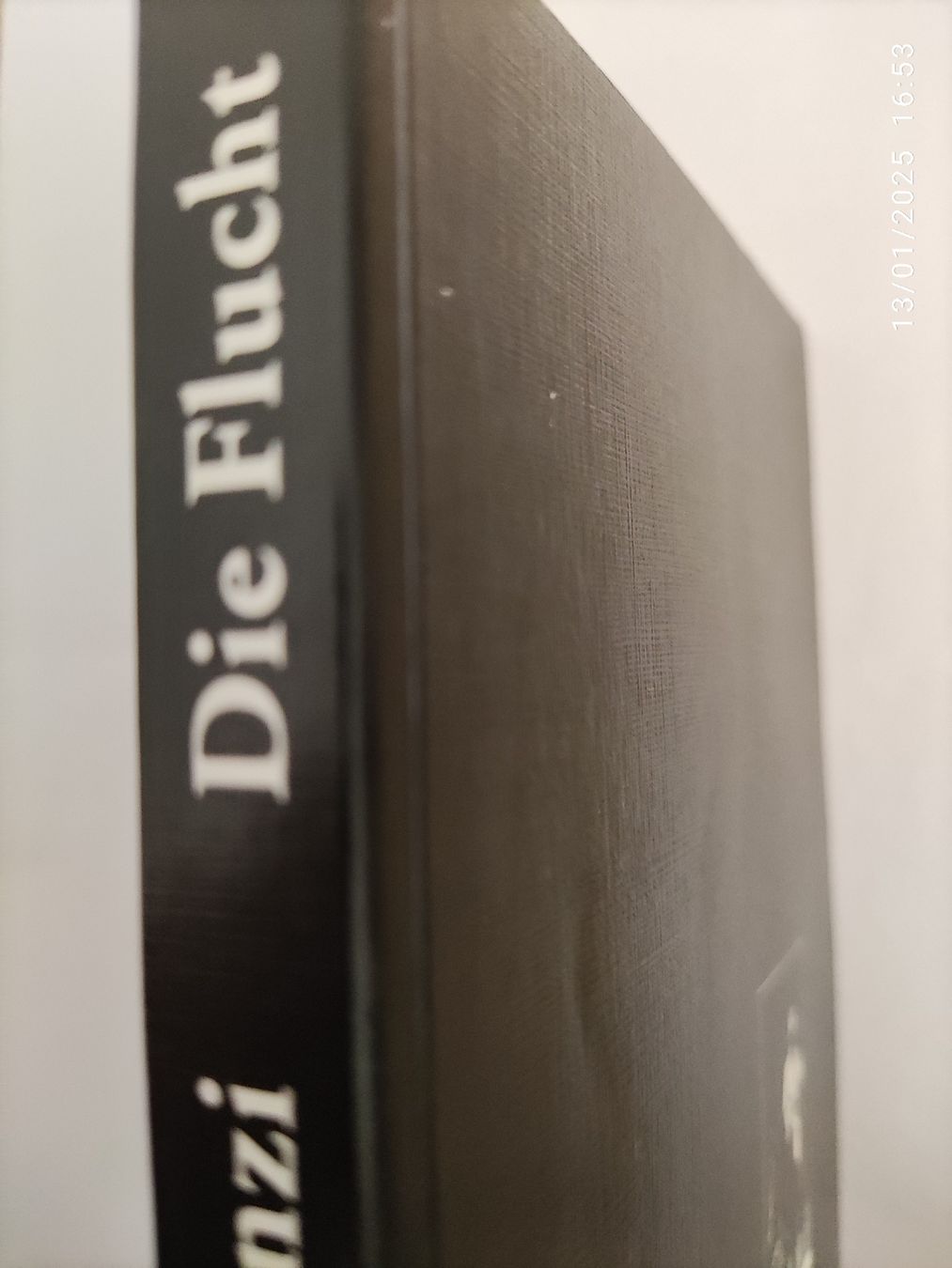 Libri: Peter Stünzi Die Flucht – Usato da Basel venduto da Alacant 2
