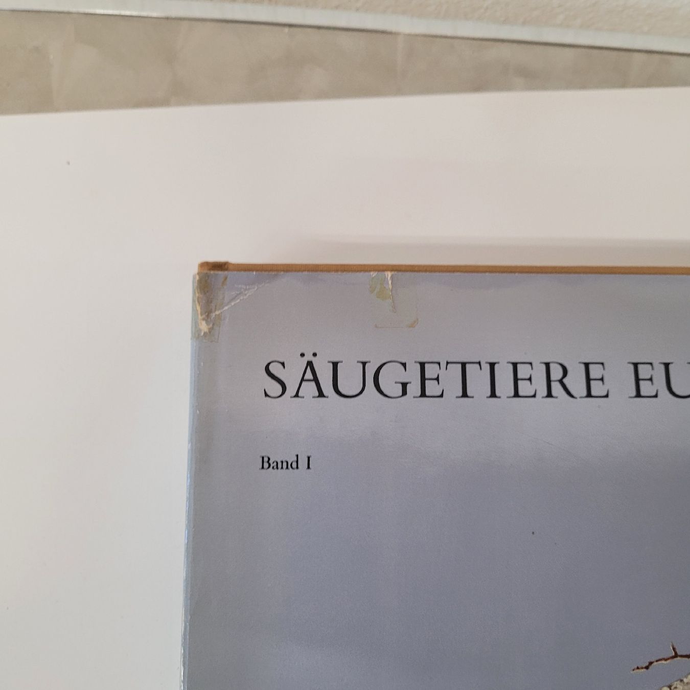 Bücher: buch säugetiere europas – Gebraucht aus Reichenburg von AK307 8