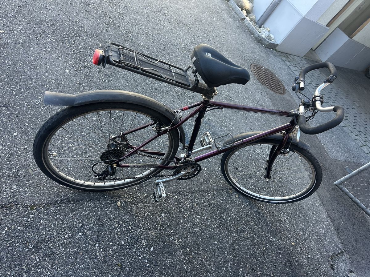 Wheeler Biciclette: Velo Wheeler 6800 – Usato da Heerbrugg venduto da sha_6bxl 2