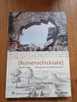 Ruinenschicksale (Archäologie Erdbeben Römer Burgen Augst)