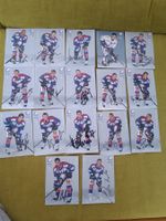17x ZSC - handsigniert Autogrammkarten aus den 0er Jahren