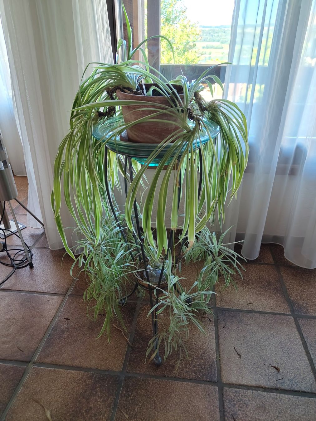 Toutes les décorations: Pflanzen ständer – D'occasion à Beinwil am See par Msunneschin 1