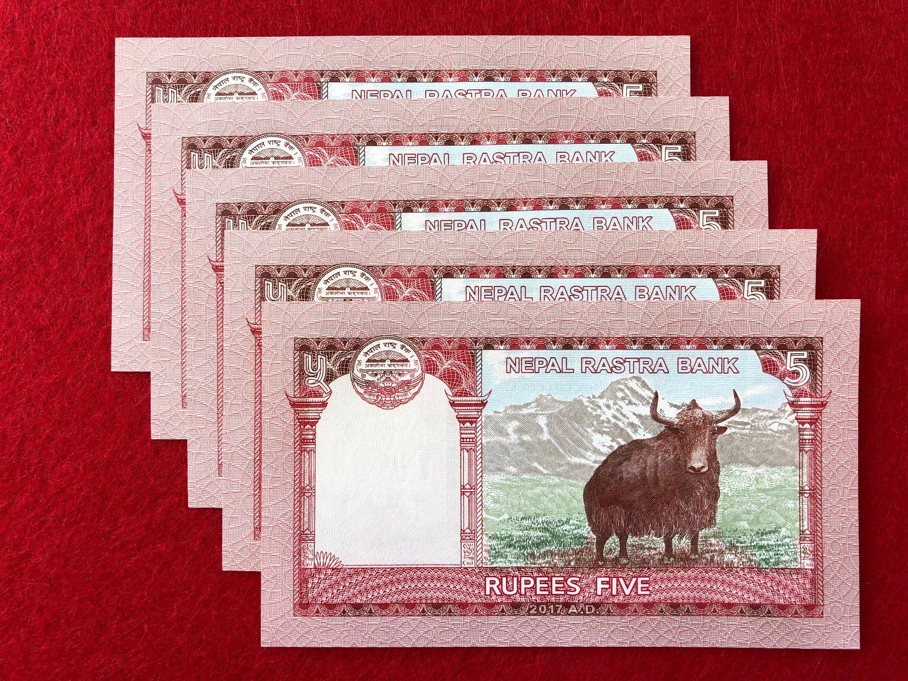 Banconote: Nepal - 5 x 5 Rupien UNC - Mount Everest – Nuovo e nell'imballaggio originale da Pfäffikon SZ venduto da Sieben77 1