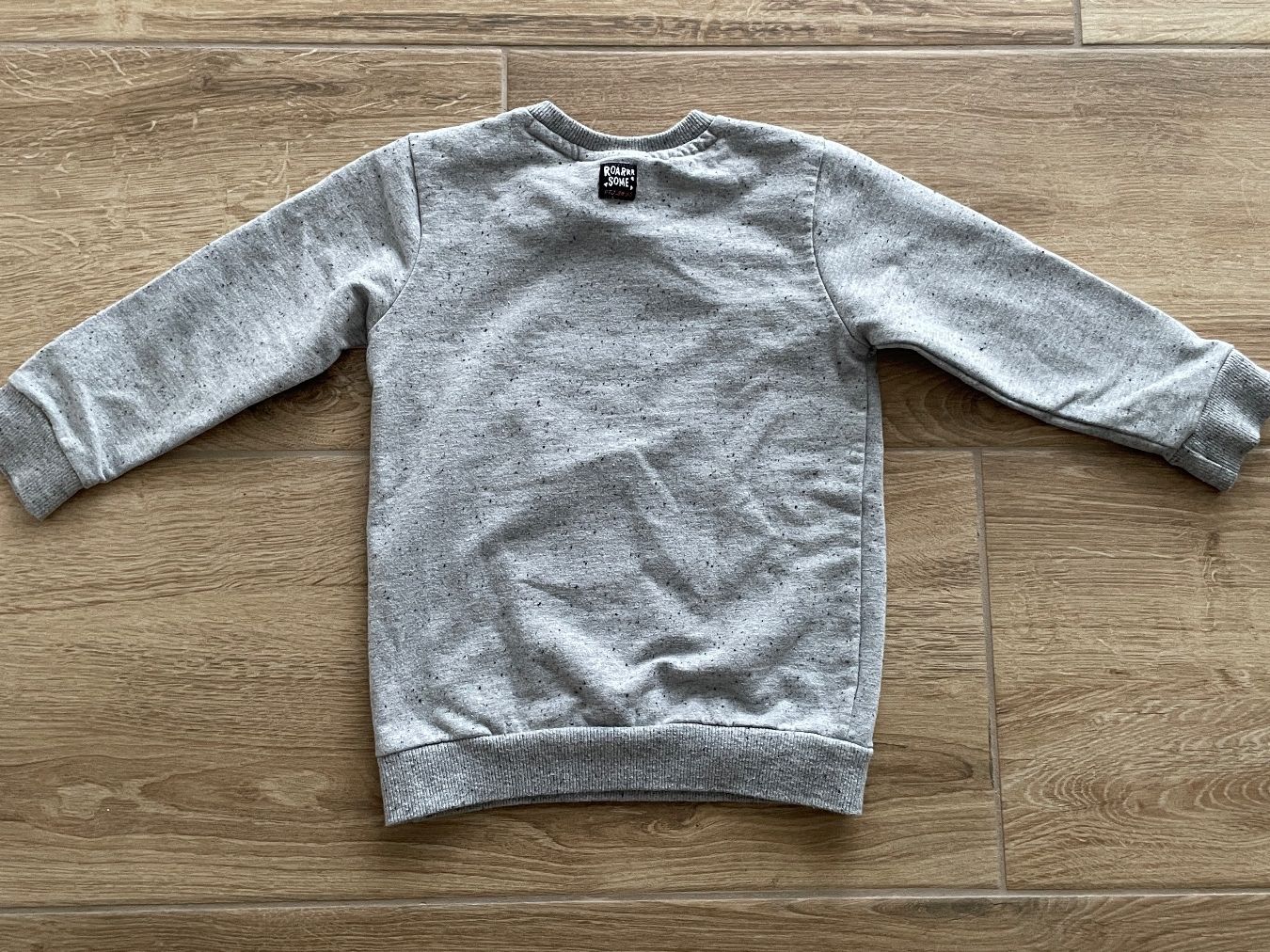 Feetje Pullover & Sweatshirts: Kinder Pullover grau mit Motiv Roar Gr. 86 – Gebraucht aus Winterthur von NaNa24 1