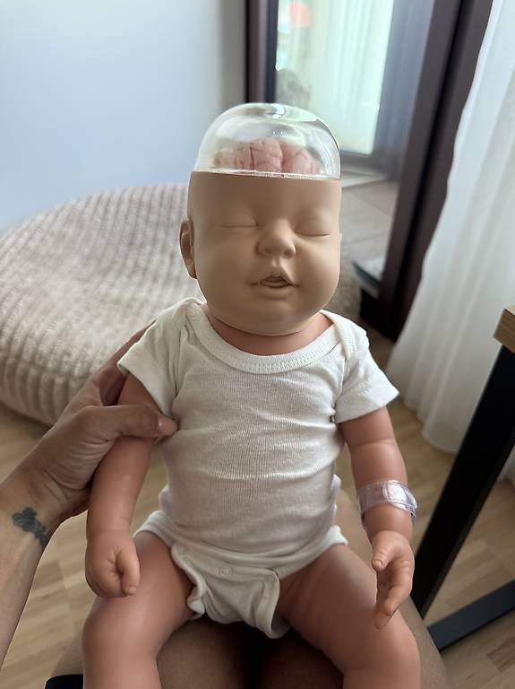 Bambole: schütteltrauma puppe ERSTE HILFE – Nuovo (secondo la descrizione) da Regensdorf venduto da Jessicamirandakoller 3
