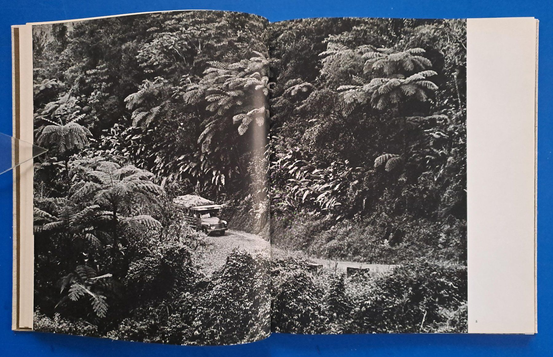 Libri: HERBERT LIST: CARIBIA. EA 1958. Ein photograph. Skizzenbuch. – Usato da Zürich venduto da archiphil 5