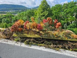 Foto Diorama H0 Herbst von Jos Geurts