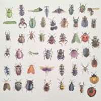 50 Aufkleber Sticker - Insekten