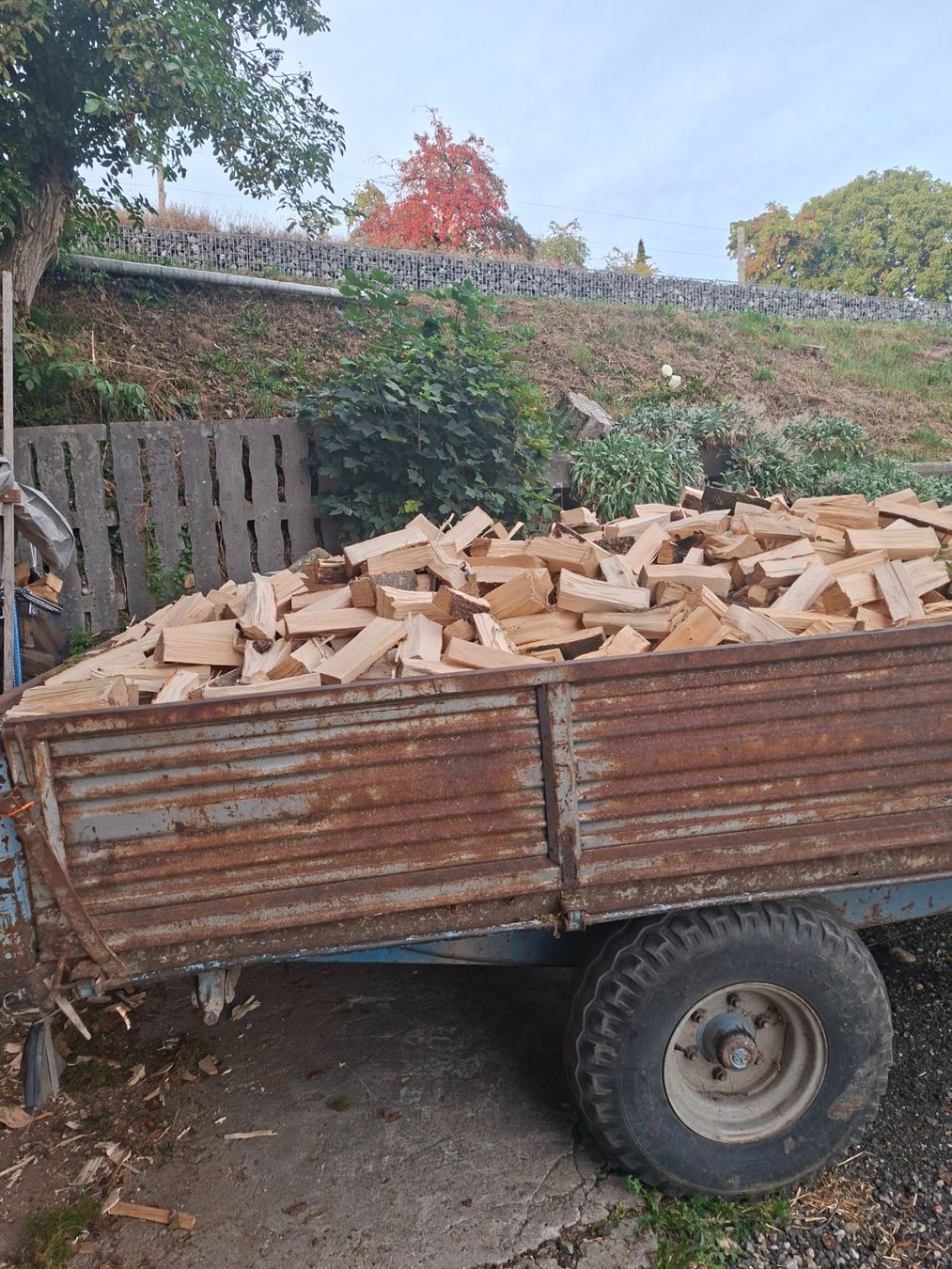 Articoli in legno: Buche Brennholz 25cm – Nuovo e nell'imballaggio originale da Ufhusen venduto da Caliban86