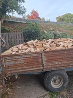 Buche Brennholz 25cm
