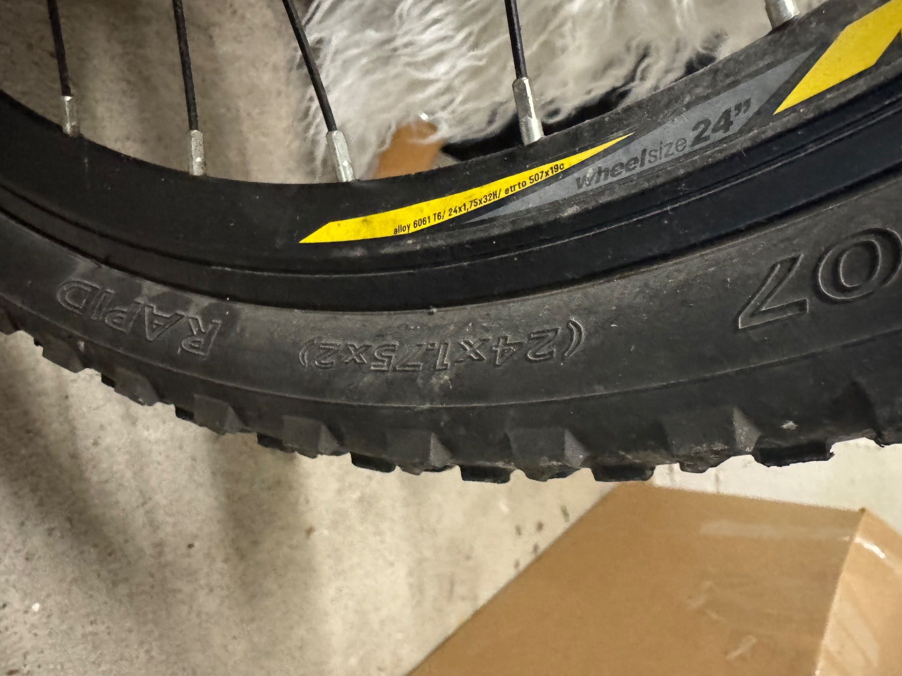 Trelago Biciclette: Trelago Rapid 24 Zoll Kindervelo – Usato da Wädenswil venduto da Rm00 1