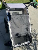 Fahrradanhänger Thule Chariot Lite guter Zustand