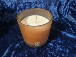 PartyLite - Duftwachsglas Tamboti Woods, Refillable