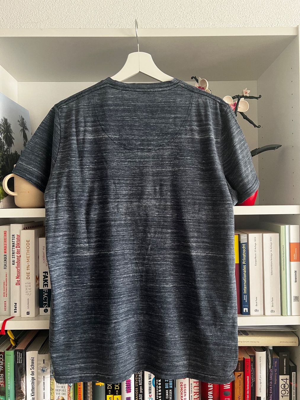 Hollister T-shirt: Hollister V-Neck Shirts 2er-Set – Usato da Lenzburg venduto da impulsive-buyer 2